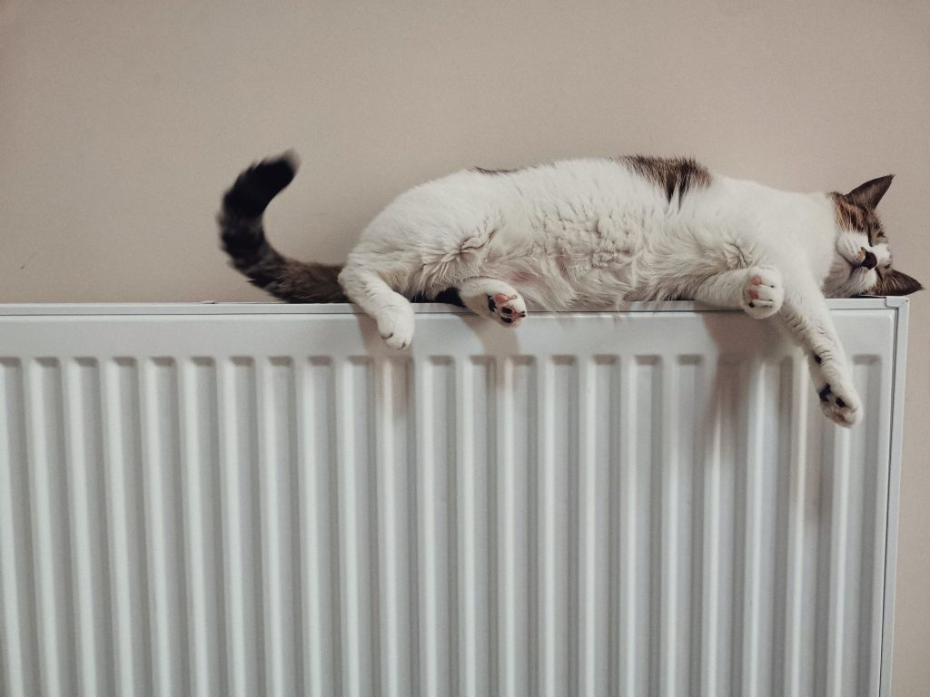 Tips On How To Paint A Radiator