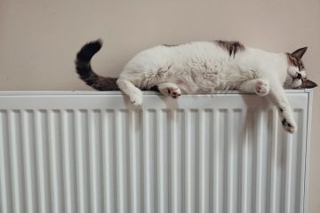 Tips On How To Paint A Radiator